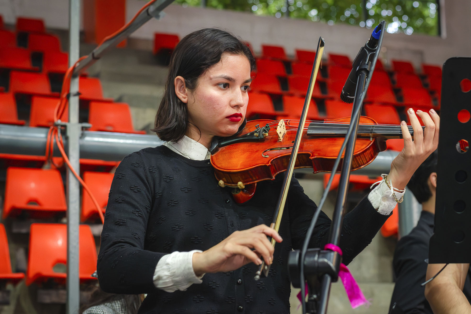 31 / 88 - Premios Lux et Veritas: Galería 31 / 88 - Premios Lux et Veritas: Galería
