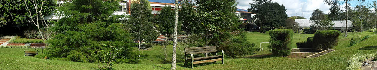 Eventos de Psicología