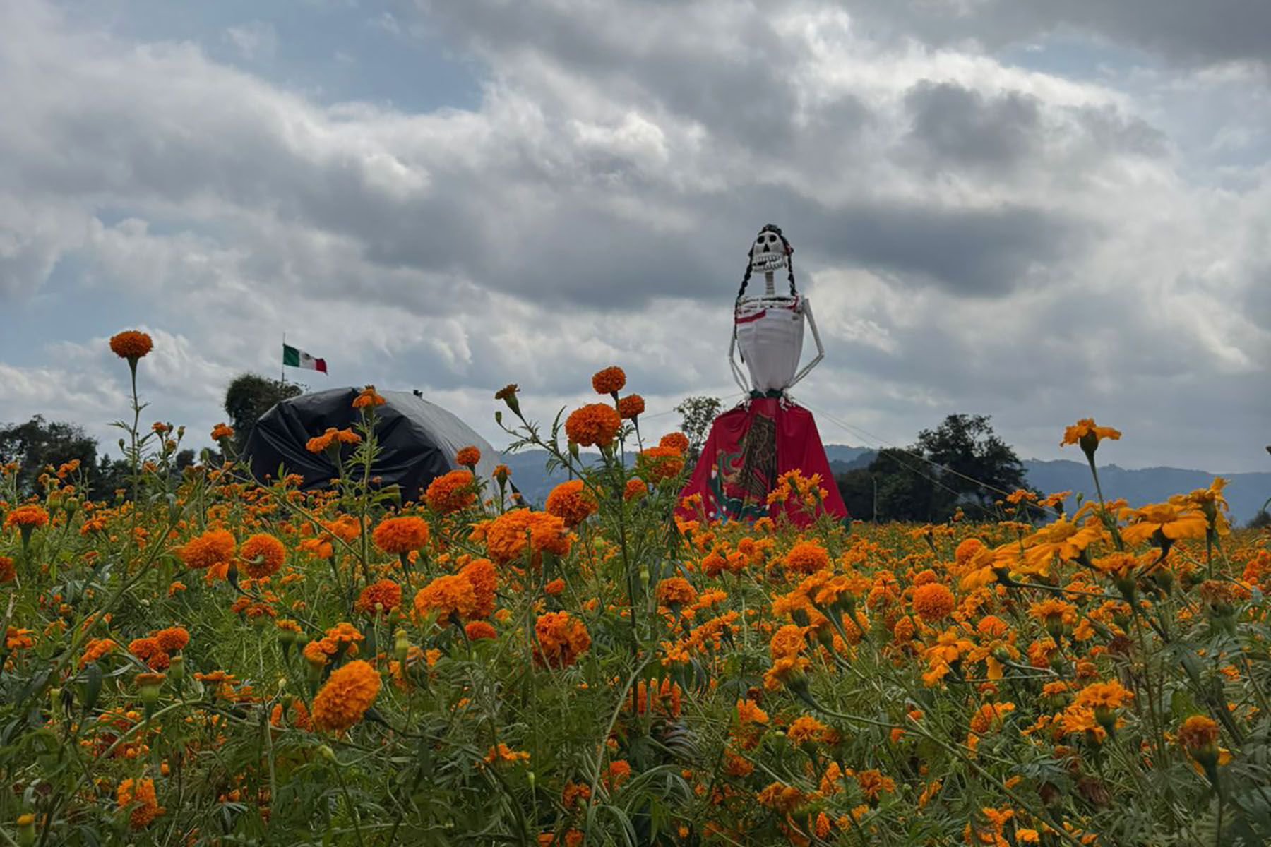 6 / 7 - Viviendo las Tradiciones: Alumnos Visitan Naolinco en el Día de Muertos 6 / 7 - Viviendo las Tradiciones: Alumnos Visitan Naolinco en el Día de Muertos