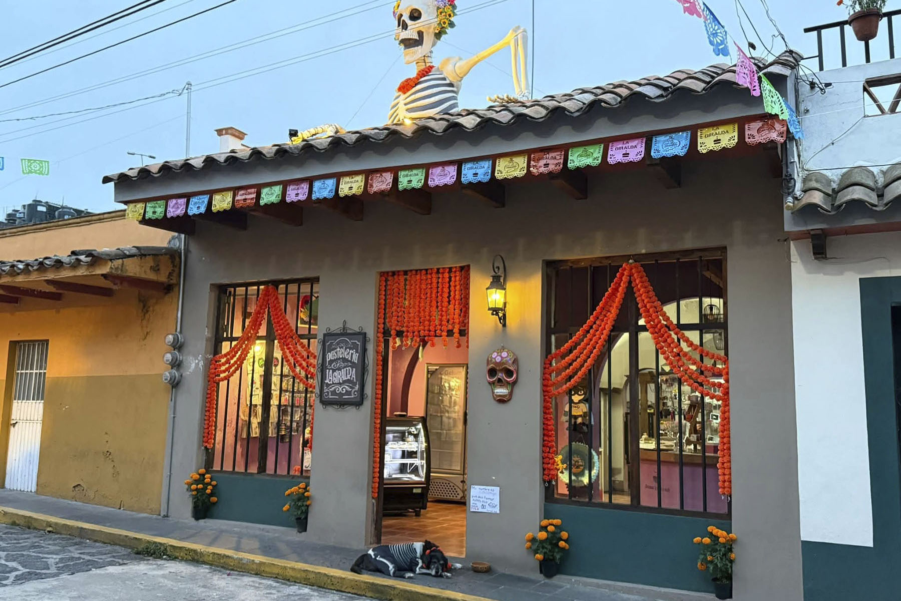 4 / 25 - Curso de Español de Propósitos Específicos de Medicina 4 / 25 - Curso de Español de Propósitos Específicos de Medicina