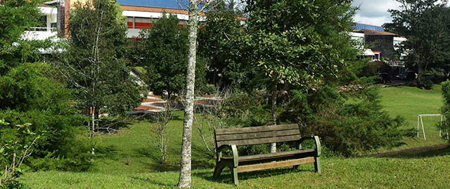 Eventos de Servicios