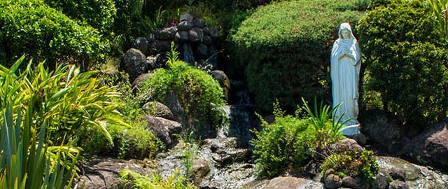 Noticias de Academia