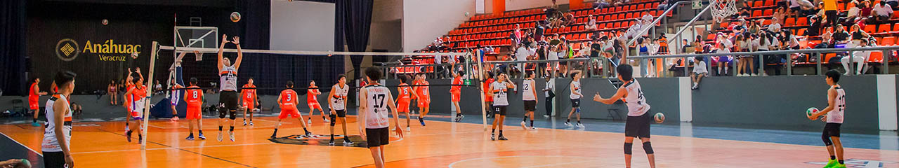 Noticias de Comunidad Anáhuac