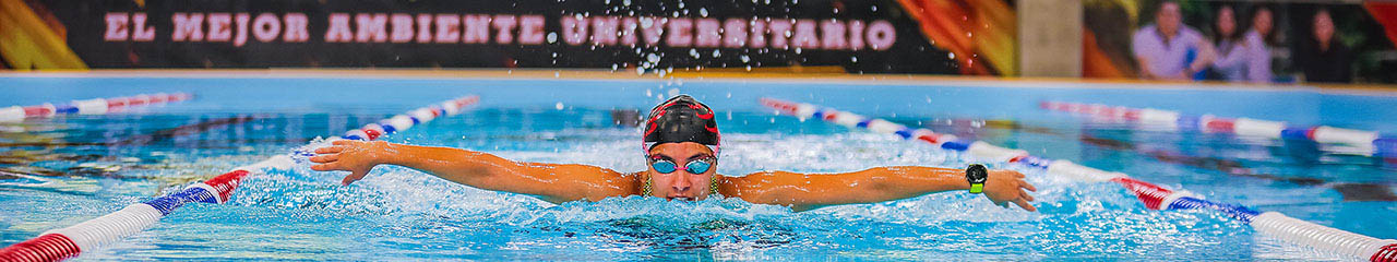 Noticias de Deportes