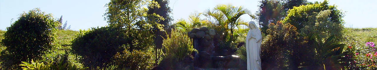 Noticias de Identidad