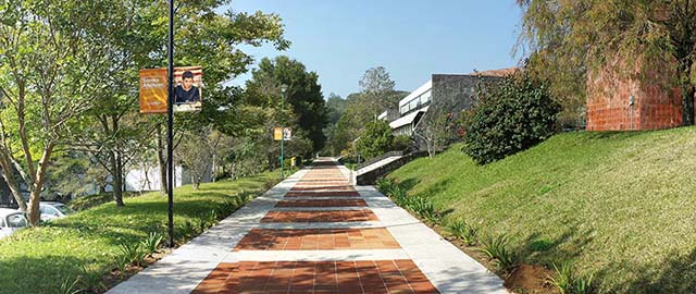 Noticias del Centro de Lenguas