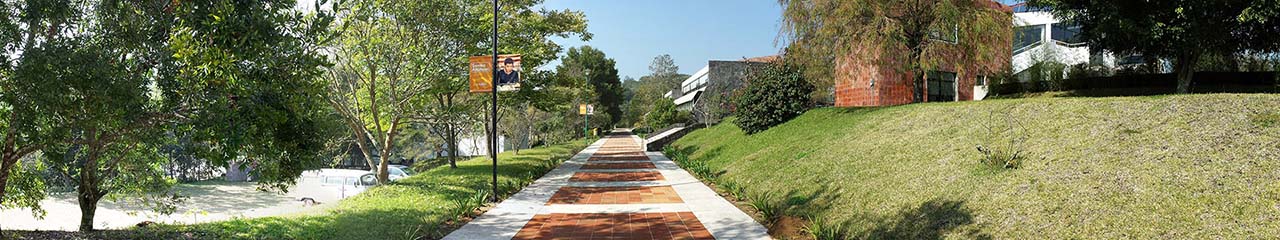 Noticias de Psicología