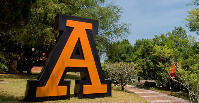 Noticias de Servicios (página dos)