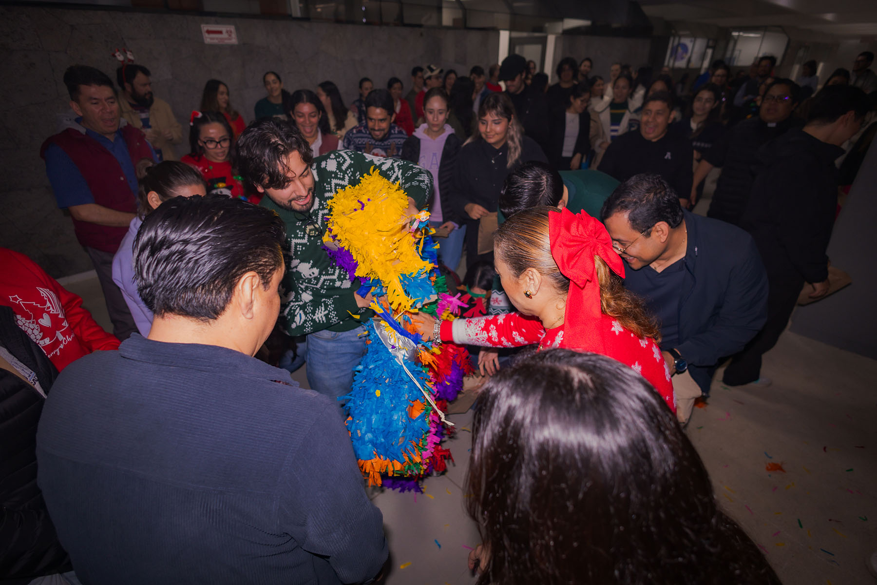 3 / 81 - Christmas Break 2025 3 / 81 - Christmas Break 2025