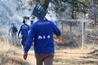 Reforestamos México A.C.