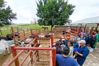 Experiencia Práctica en el Rancho Ganadero Los Framboyanes