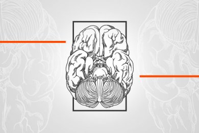 Semana Mundial del Cerebro