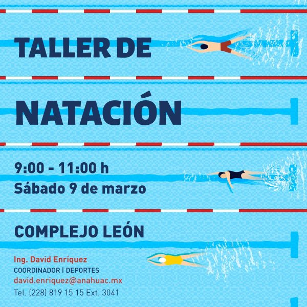 Ver en pantalla completa Taller de Natación