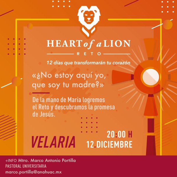 Reto Heart of a Lion: Doceava Actividad