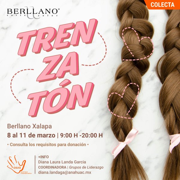 Ver en pantalla completa Trenzatón