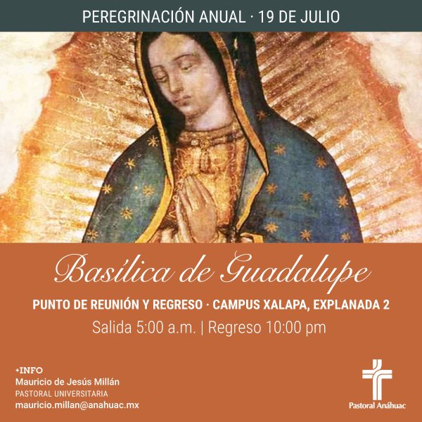 Ver en pantalla completa Peregrinación Anual a la Basílica de Guadalupe