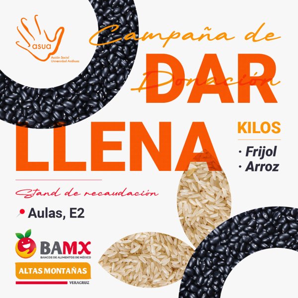 Campaña de Donación para el Banco de Alimentos: Dar Llena