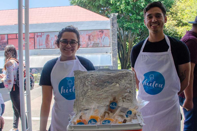 Proyecto Hielou. 7 / 16 - Proyecto Hielou.