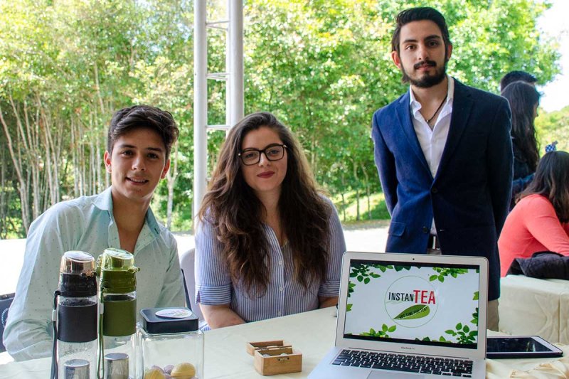 Proyecto Instantea. 8 / 16 - Proyecto Instantea.