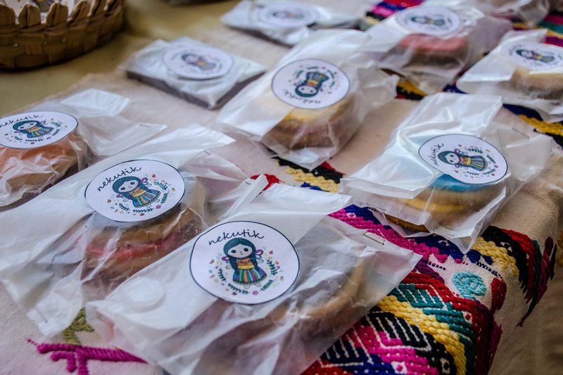 Proyecto Nekutik. 10 / 16 - Proyecto Nekutik.